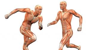 Efectividad de la técnica de energía muscular versus manipulación osteopática en el tratamiento de la disfunción de la articulación sacroilíaca en atletas