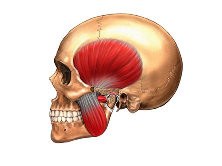 Efectos sobre la postura tras la técnica de relajación de los ligamentos de la articulación temporomandibular (ATM)