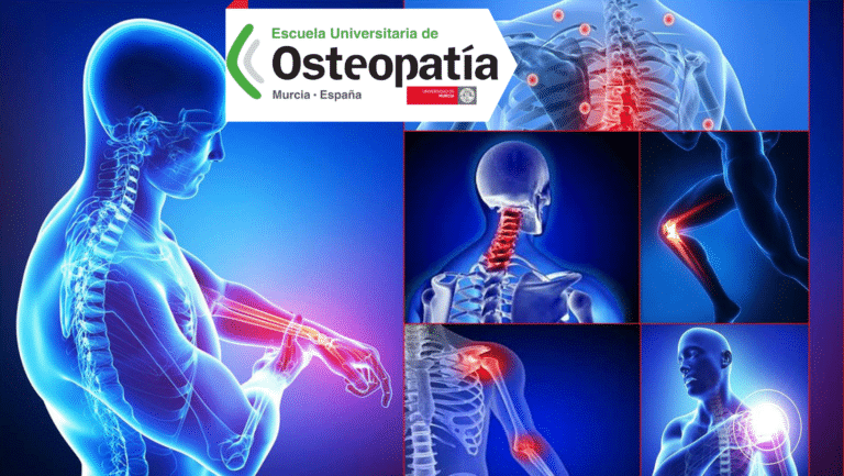 Modelo osteopático del desarrollo y prevención de trastornos musculoesqueléticos ocupacionales
